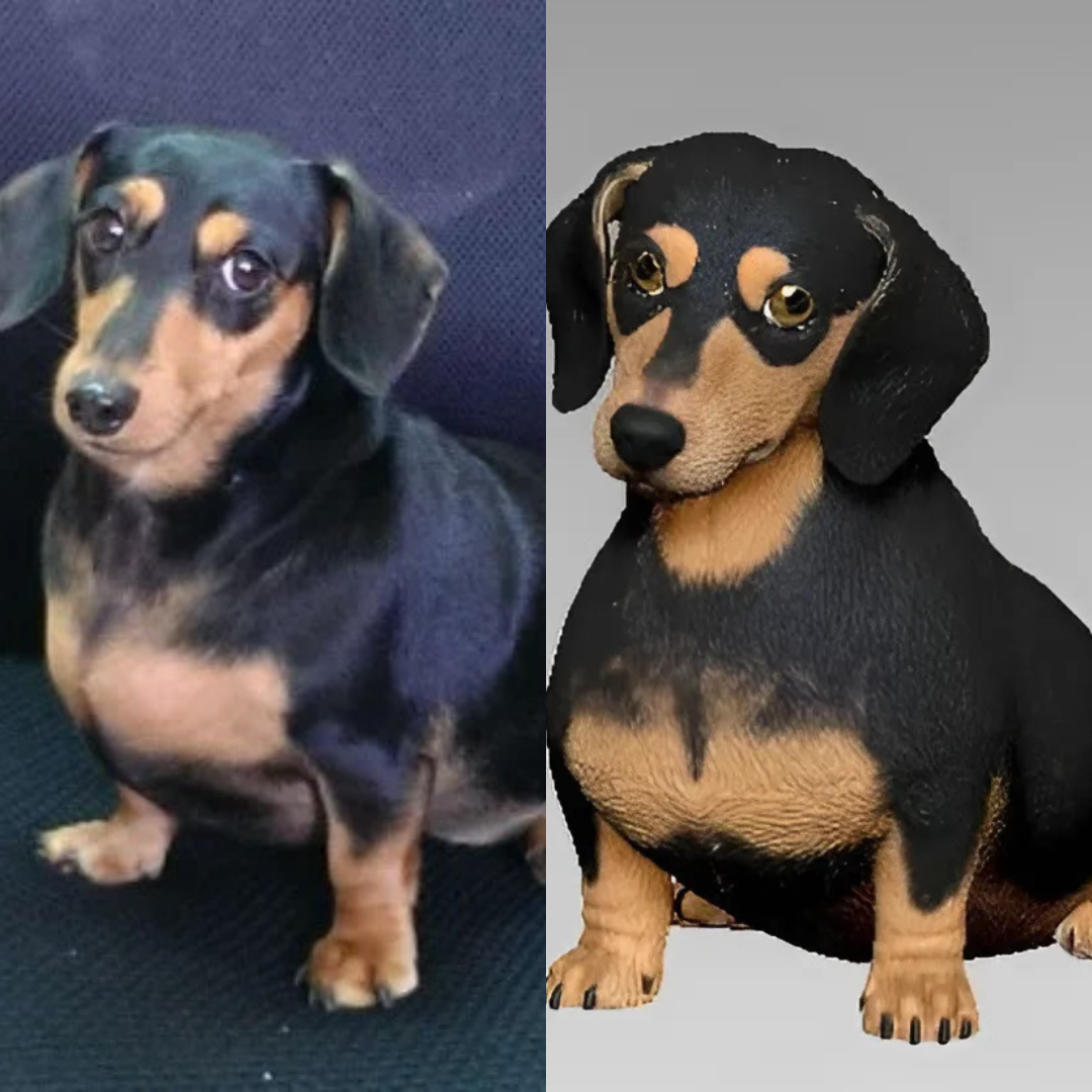 Comparison of custom 3D printed yellow-black pet dachshund dog statue and its 3D model