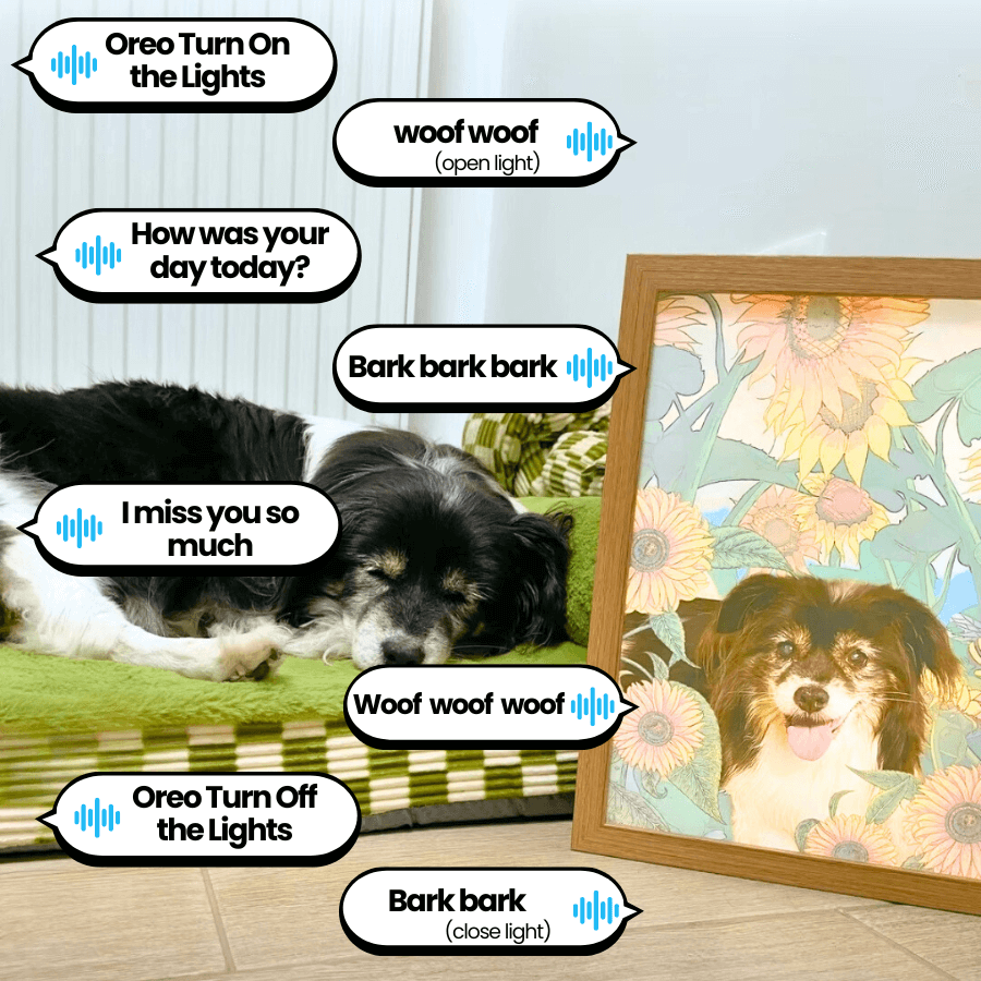 Interactive dog memorial light frame featuring a dog photo with voice-activated commands like 'Turn on the lights' and 'Turn off the lights,' simulating conversations with personalized pet sounds. Perfect for pet owners to memorialize their furry companions